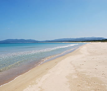 海水浴プラン イメージ